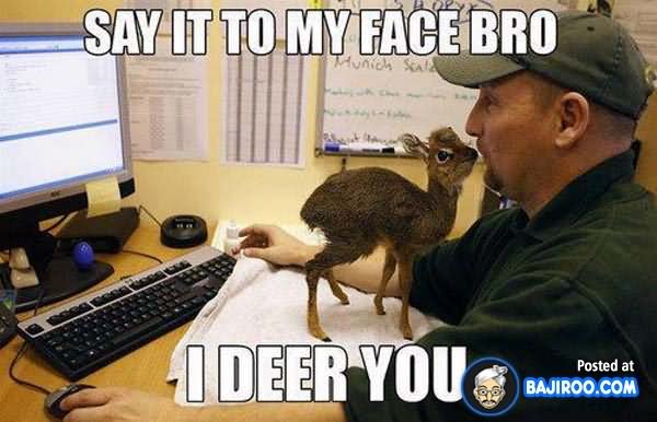Say It To My Face Bro I Deer You Funny Cool Meme Image