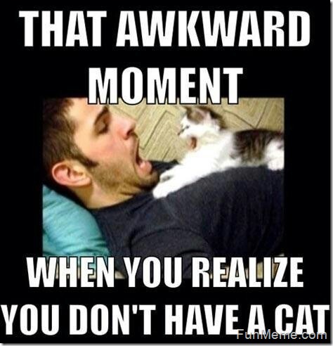 That Awkward Moment When You Realize You Don't Have Cat Funny Cool Meme Image