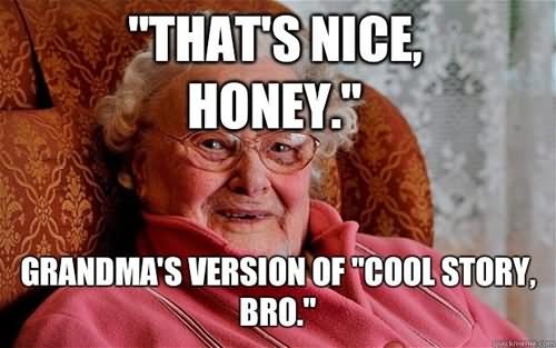 That's Nice Honey Grandma's Version Of Cool Story Bro Funny Meme Image