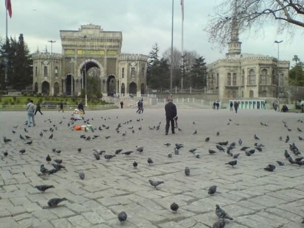 The Beyazit Square Picture