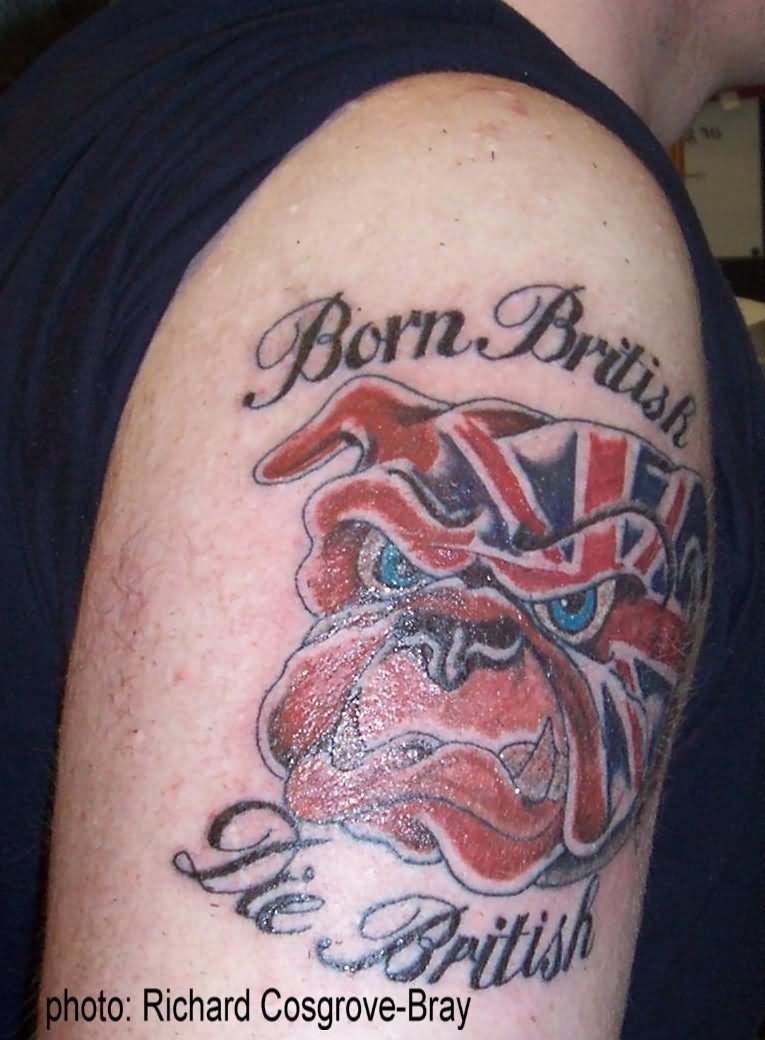 UK Flag Bulldog Tattoo On Right Shoulder
