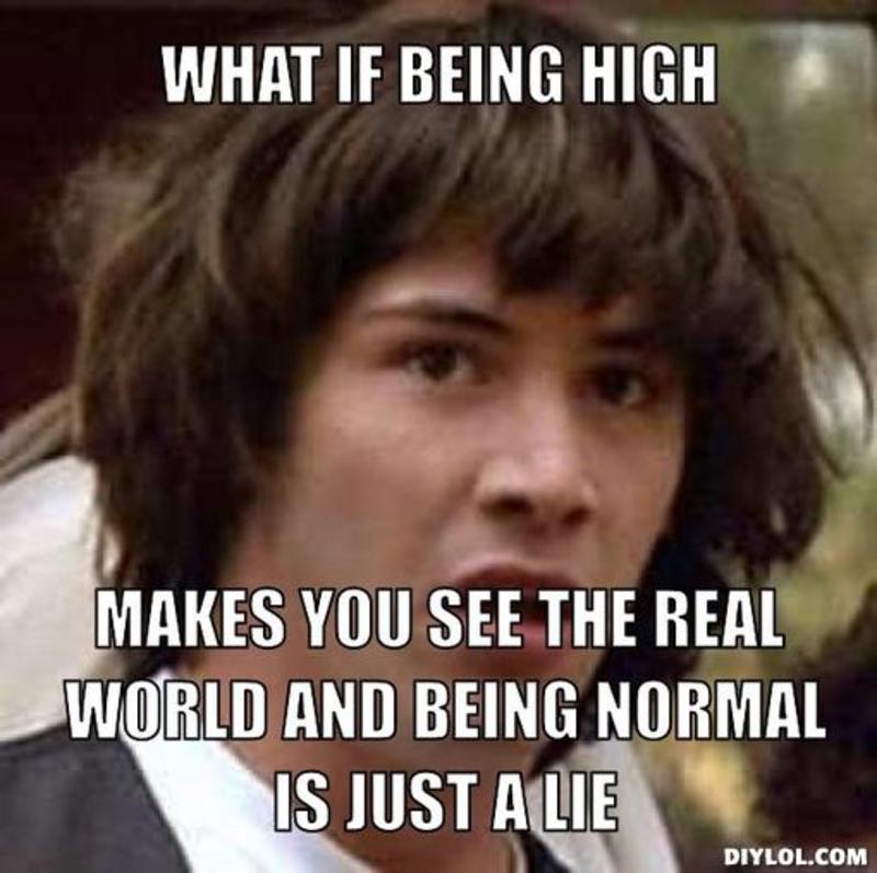 What If Being High Makes You See The Real World And Being Normal Is Just A Lie Funny High Meme Picture