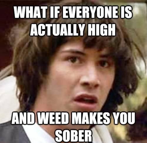 What If Everyone Is Actually High Funny High Meme Picture