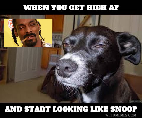 When You Get High Af And Start Looking Like Snoop Funny High Meme Image