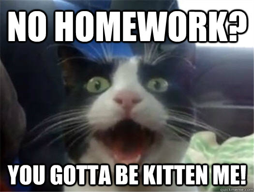 You Gotta Be Kitten Me Funny Homework Meme Picture