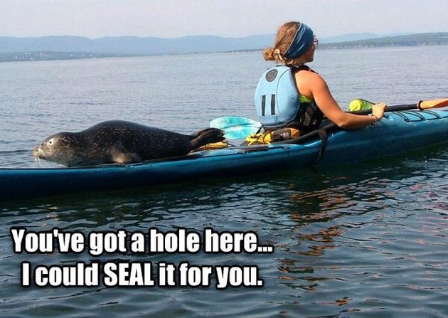 You Have Got A Hole Here I Could Seal It For You Funny Canoeing Meme Picture