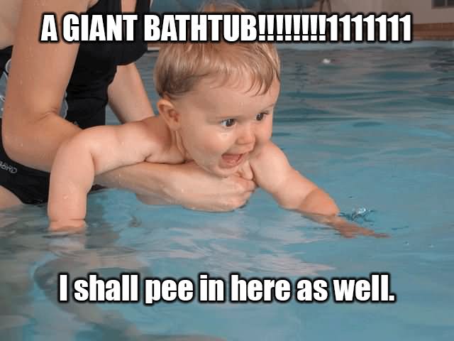 A Giant Bathtub I Shall Pee In Here As Well Funny Swimming Meme Image