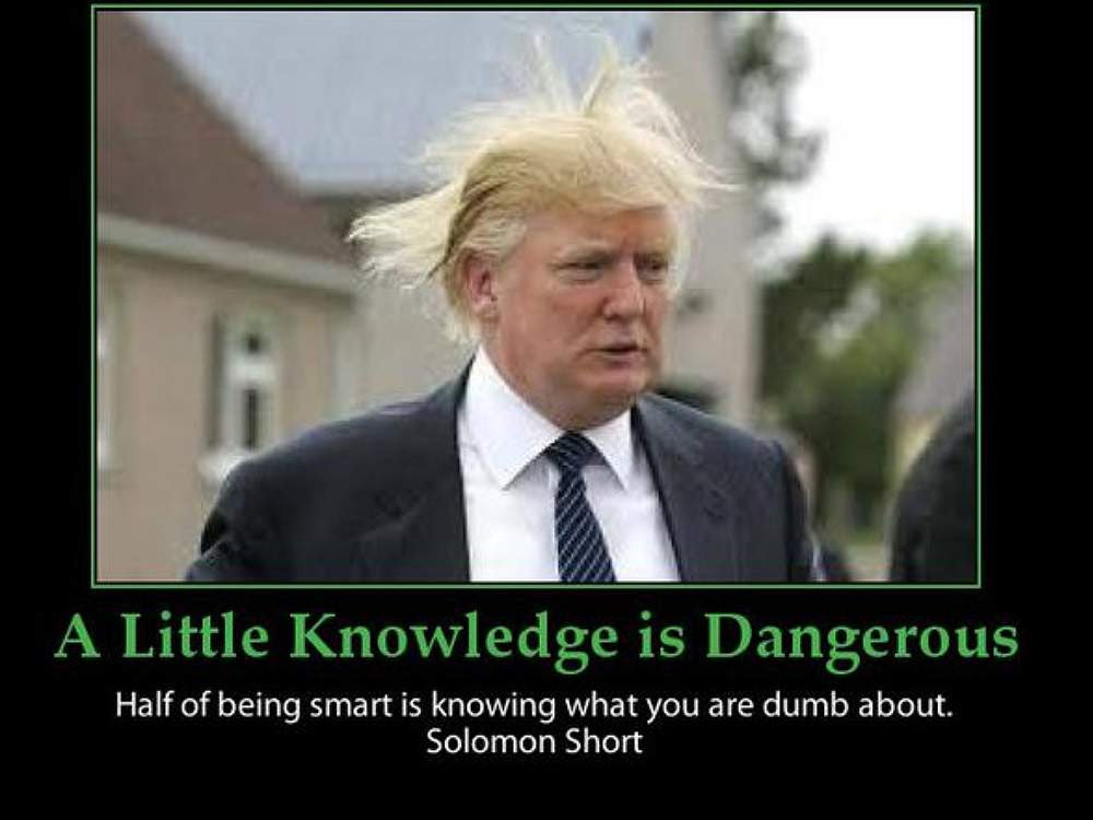 A Little Knowledge Is Dangerous Funny Donald Trump Meme Poster