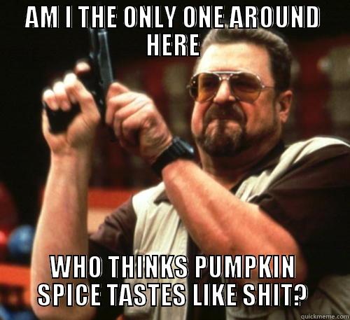 Am I The Only One Around Here Who Thinks Pumpkin Spice Tastes Like Shit Funny Pumpkin Meme Image