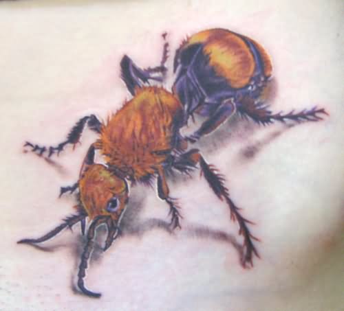 Amazing Ant Tattoo Image