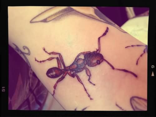Amazing Ant Tattoo On Sleeve