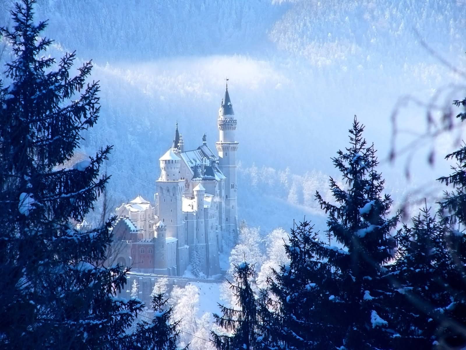 Amazing Picture Of The Neuschwanstein Castle With Snow Picture
