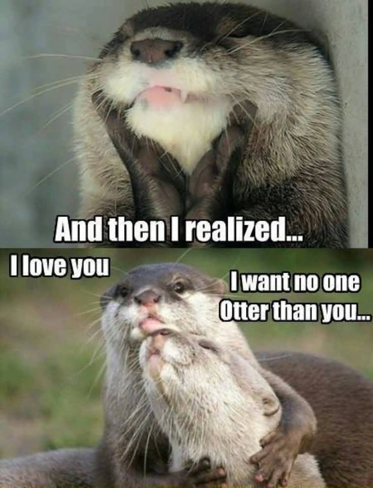 And Then I Realized I Love You I Want No One Otter Than You Funny Love Meme Image