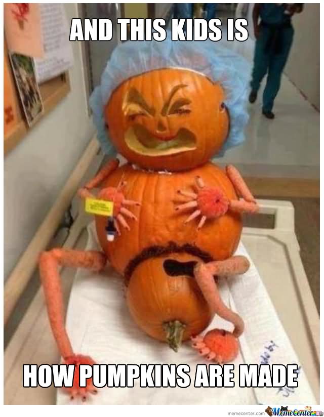 And This Kid Is How Pumpkins Are Made Funny Pumpkin Meme Image