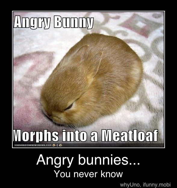 Angry Bunnies You Never Know Very Funny Poster