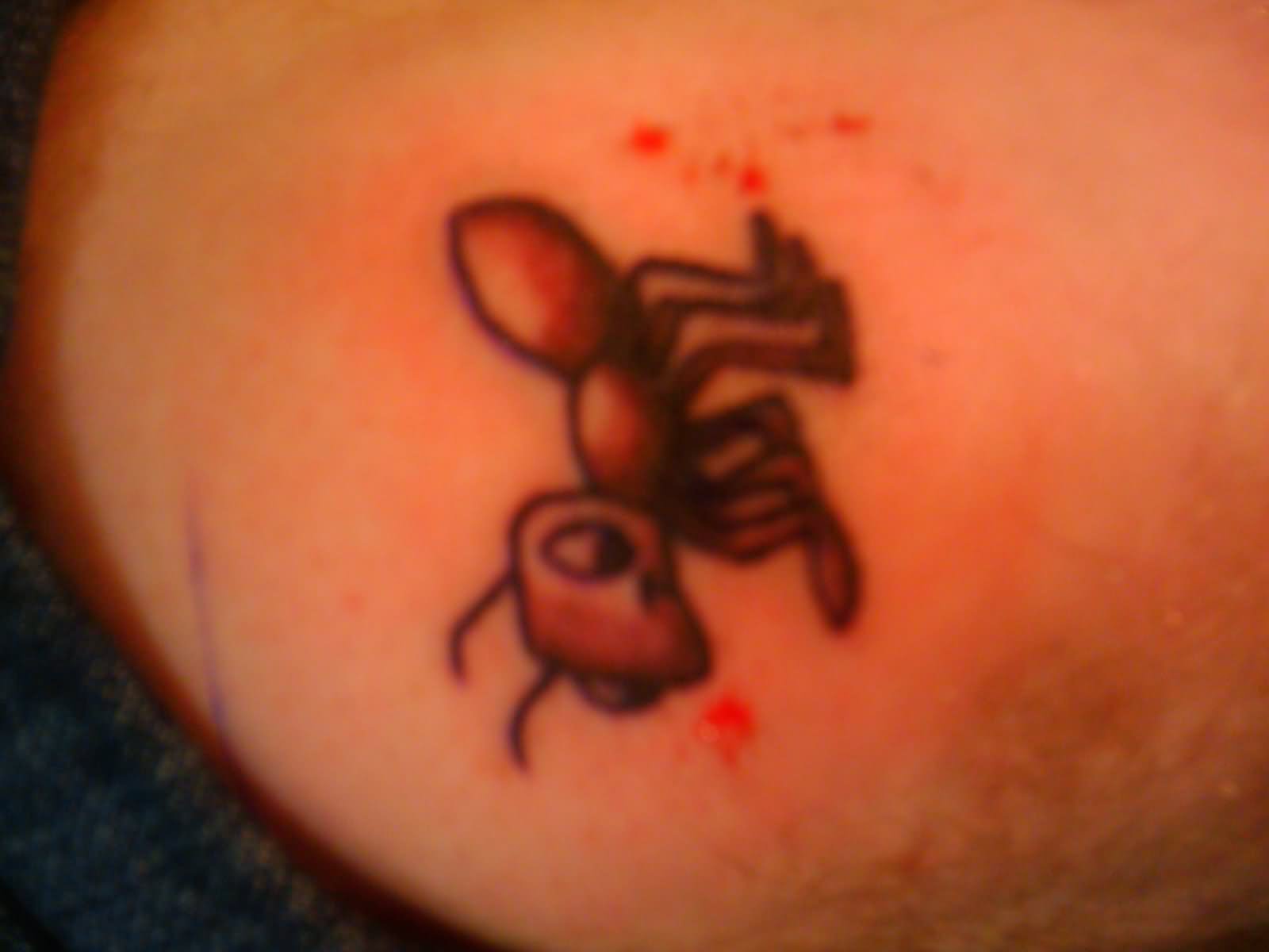 Ant Tattoo On Back Shoulder