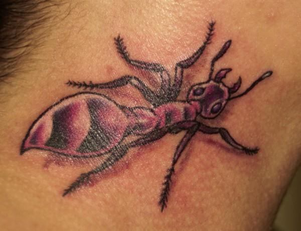 Ant Tattoo On Side Neck