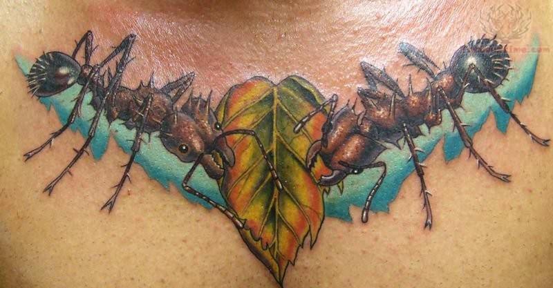 Ant Tattoos On Chest