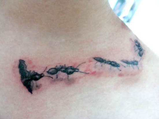 Ant Tattoos On Front Shoulder