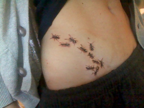 Ant Tattoos On Right Hip