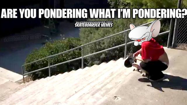 Are You Pondering What I Am Pondering Funny Skateboarding Meme Image