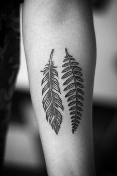 Attractive Two Nature Feathers Tattoo Design For Forearm