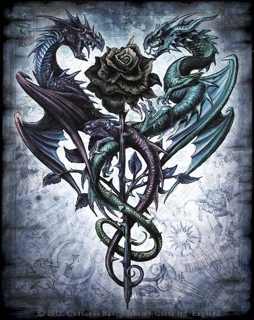 Awesome Two Gothic Dragon With Rose Tattoo Design