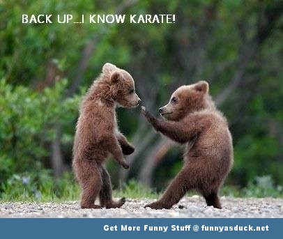 Back Up….I Know Karate Funny Karate Meme Picture