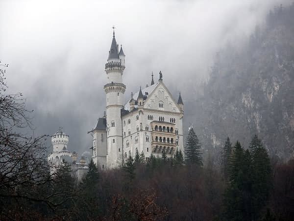 Back View Of The Neuschwanstein Castle In Germany