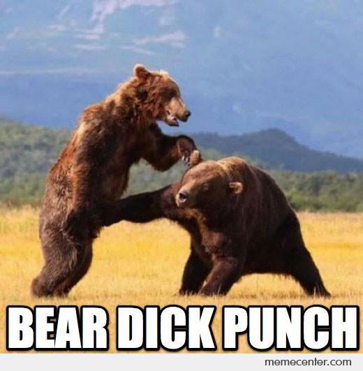 Bear Funny Fight Meme Picture