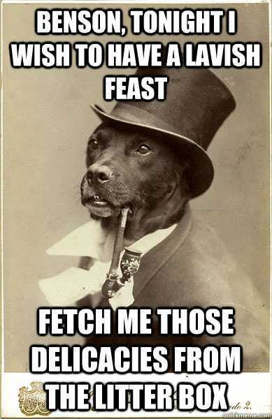 Benson Tonight I Wish To Have A Lavish Feast Fetch Me Those Delicacies  From The Litter Box Funny Dog Meme Image