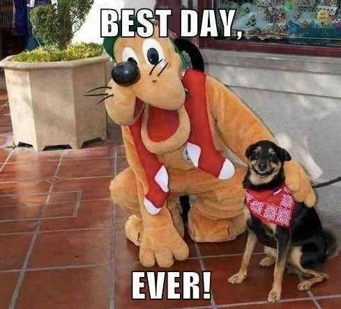 Best Day Ever Funny Dog Meme Picture For Facebook