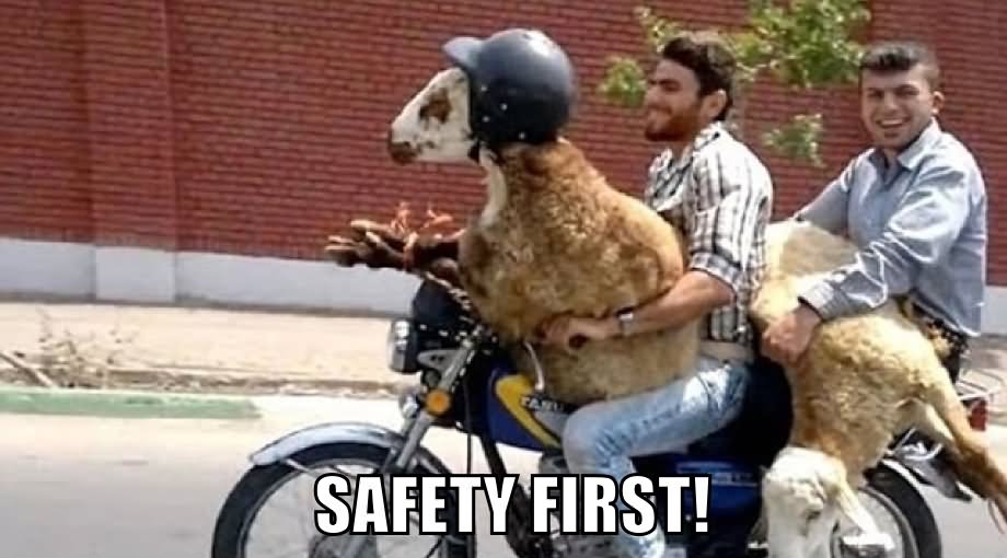 Bike Riding Very Funny Safety Meme Picture For Whatsapp