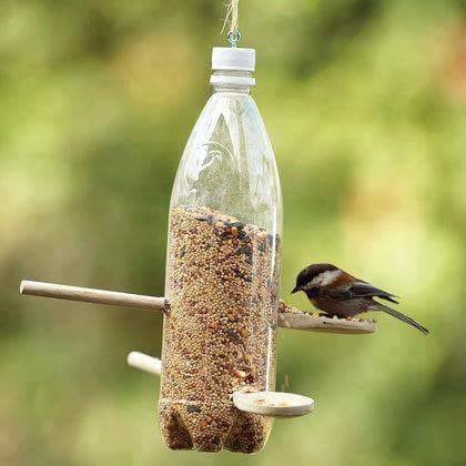 Birds feeder from waste plastic bottle.