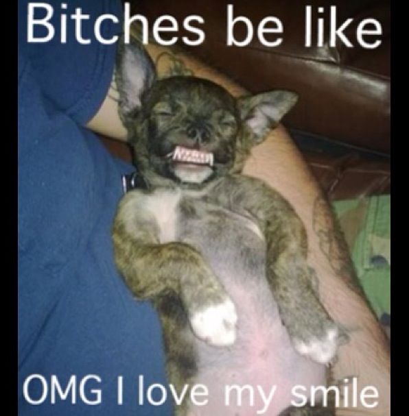 Bitches Be Like Omg I Love My Smile Funny Teeth Meme Image