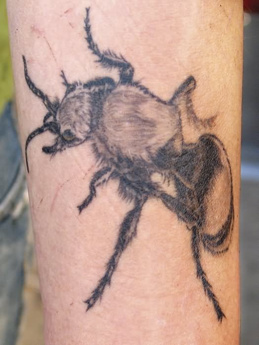 Black And Grey Ant Tattoo On Arm