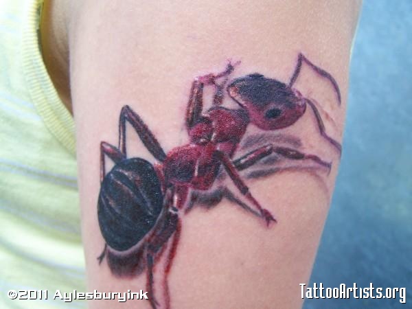 50+ Unique Ant Tattoos