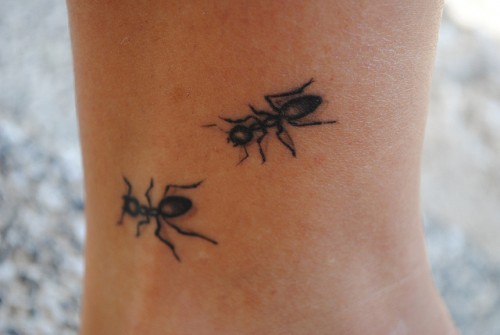 Black Ant Tattoos On Arm