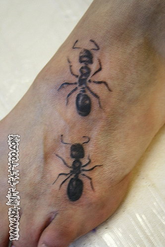 Black Ant Tattoos On Left Foot