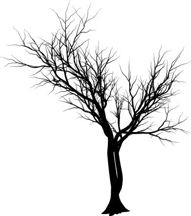 Black Gothic Tree Without Leaves Tattoo Stencil