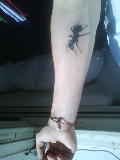 Black Silhouette Ant Tattoo On Right Forearm