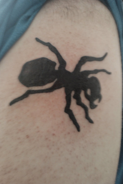 Black Silhouette Ant Tattoo On Shoulder