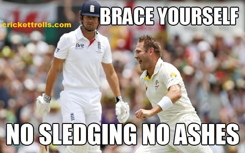 Brace Yourself No Sledging No Ashes Funny Cricket Meme Picture