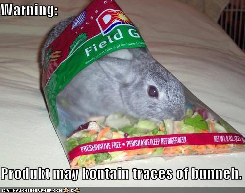 Bunny Funny Warning Meme Image For Facebook