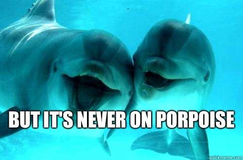But It's Never On Porpoise Funny Dolphin Meme Image