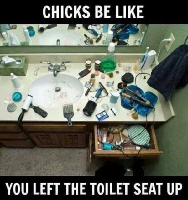 Chicks Be Like You Left The Toilet Seat Up Funny Girlfriend Meme Photo