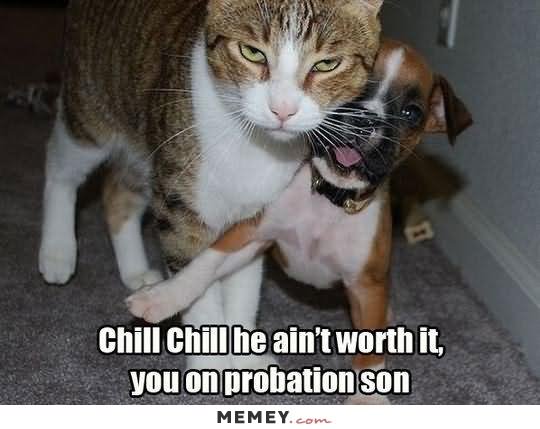 Chill Chill He Ain’t Worth It You On Probation Son Funny Fight Meme Image