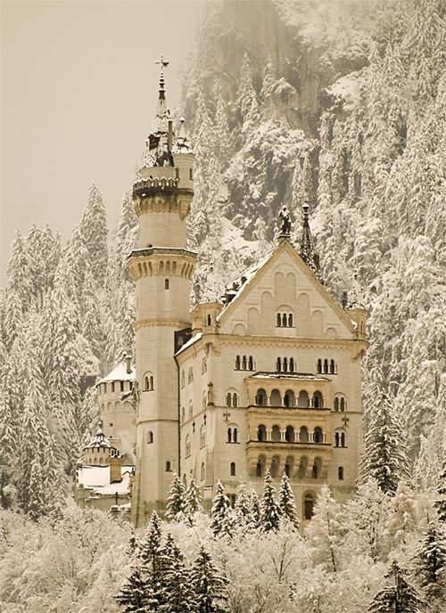 Close Up Of The Neuschwanstein Castle During Winter Picture