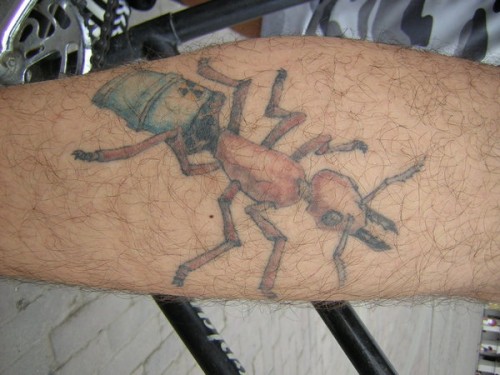 Color Ink Ant Tattoo On Back Leg