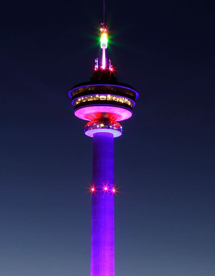Colorful Lights On The Nasinneula Tower